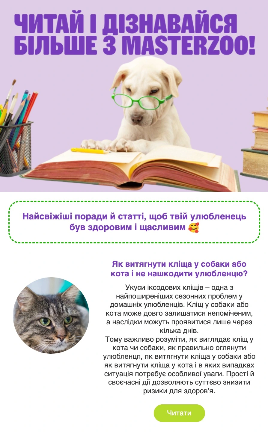 Приклад корисного електронного листа